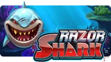 razor-shark-banner