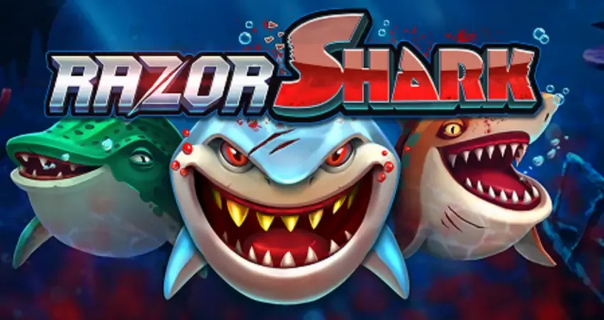 razor-shark-log